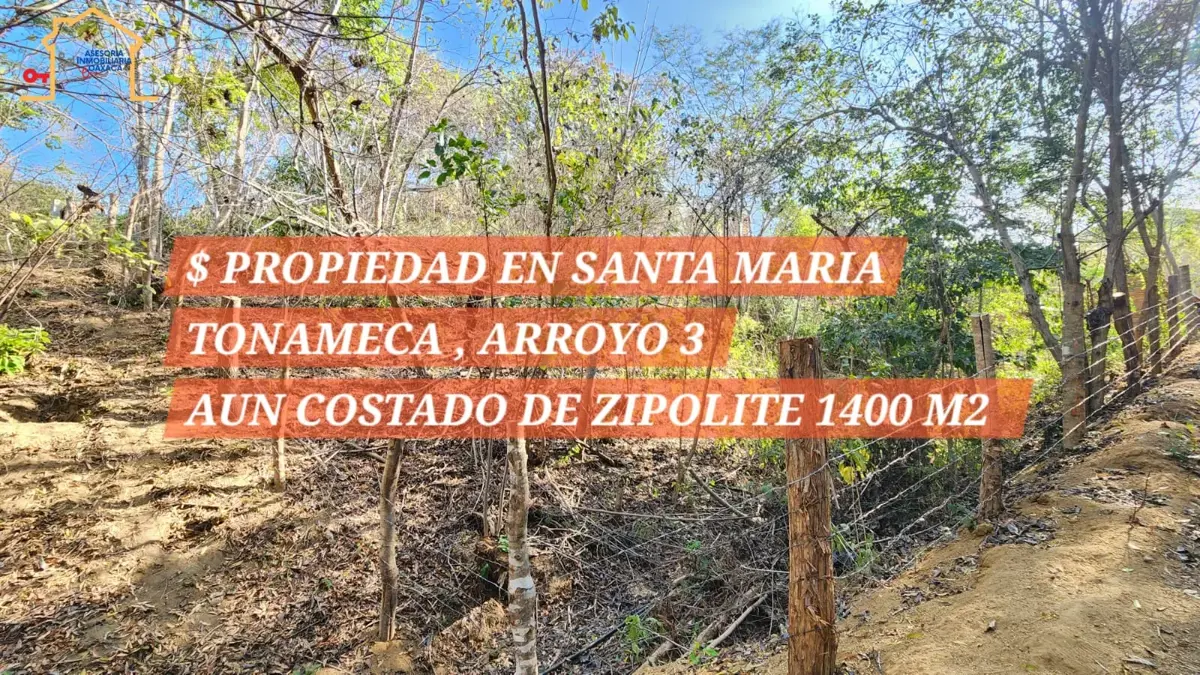 Terreno en venta en Arroyo el Tres, Santa María Tonameca — foto 1 de 7