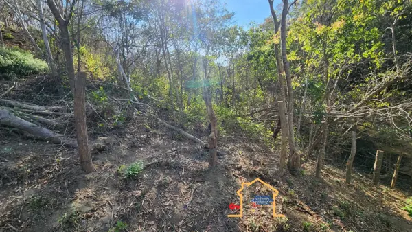 Terreno en venta en Arroyo el Tres, Santa María Tonameca — foto 3 de 7