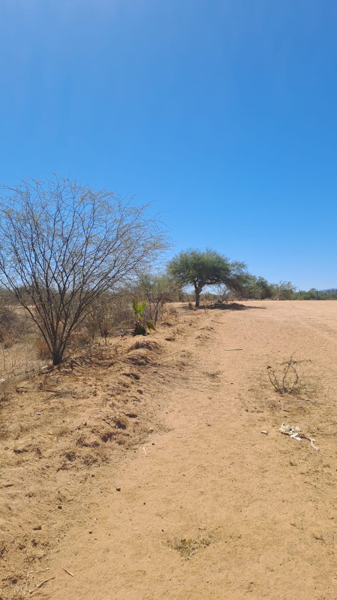 Lote de terreno habitacional en Caduaño, San José del Cabo
