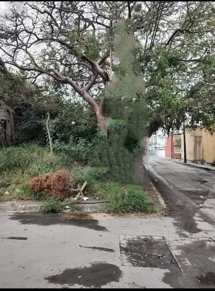 Terreno en venta en Puerto de Veracruz, Veracruz — foto 3 de 3