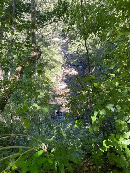 Finca-Rancho en venta en Altozano, Cuauhtémoc — foto 2 de 6