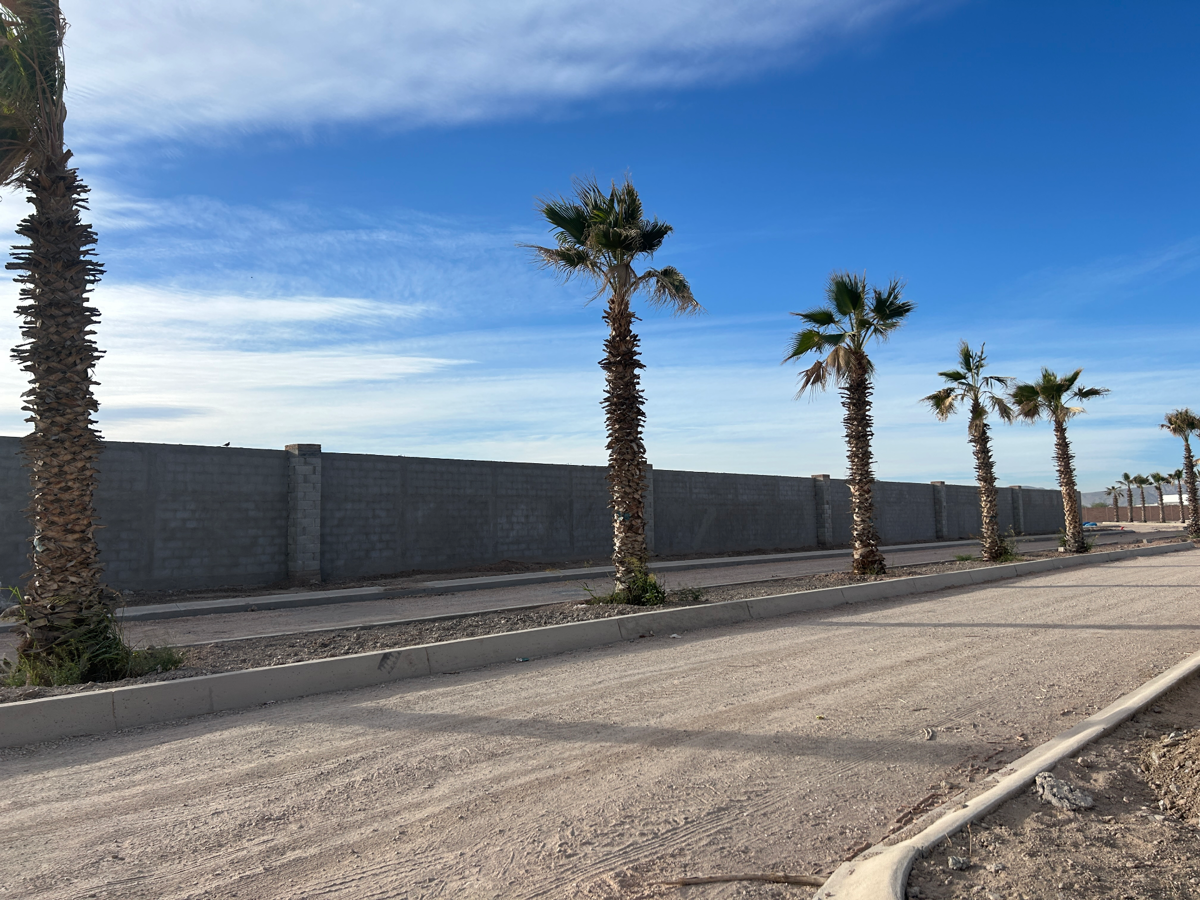 ¡Invierte en tu Futuro! Lotes Residenciales en Excelente ubicación, a la entrada de Viñedos ¡Invierte en tu Futuro! Lotes Residenciales en Excelente ubicación, a la entrada de Viñedos