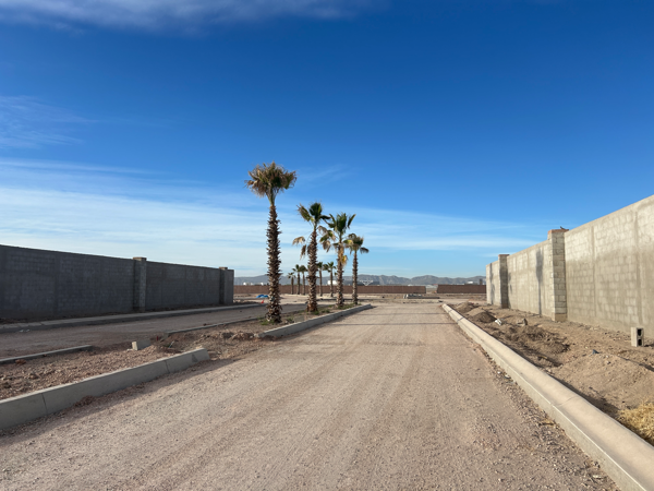 Terreno en venta en Los Viñedos, Torreón — foto 2 de 5