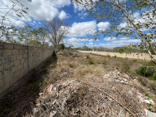 Terreno en venta en Chichi Suarez, Mérida — foto 2 de 8