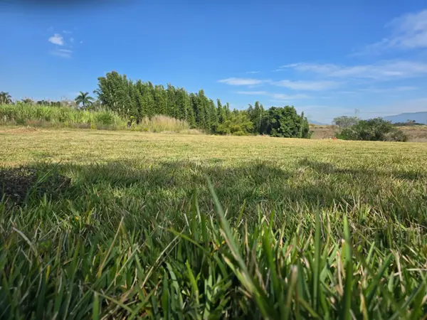 Terreno en venta en Palo Alto, Fortín — foto 2 de 9