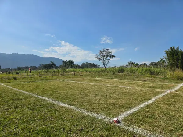 Terreno Habitacional en Venta en Palo Alto, Fortín de las Flores
