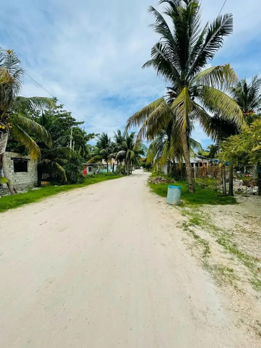 Terreno en venta en Javier Rojo Gómez (Punta Allen), Tulum — foto 1 de 5