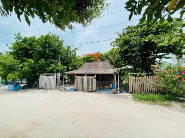 Terreno en venta en Javier Rojo Gómez (Punta Allen), Tulum — foto 2 de 5