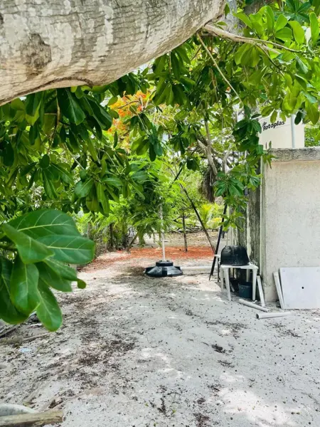 Terreno en venta en Javier Rojo Gómez (Punta Allen), Tulum — foto 3 de 5
