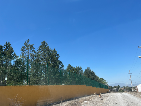 Terreno en venta en Puerto Carbonera, Arteaga — foto 2 de 25