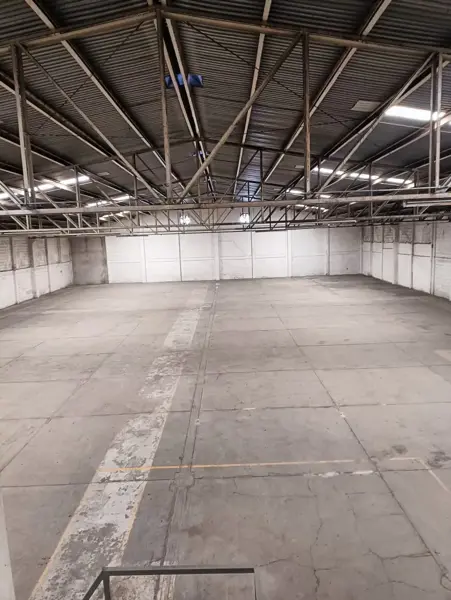 Bodega en venta en Las Animas, Irapuato — foto 2 de 19