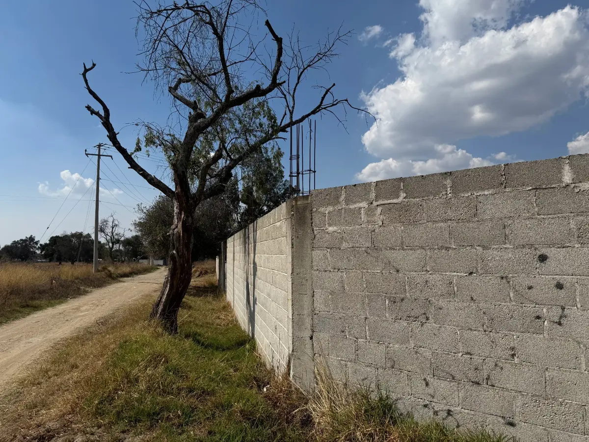 Terreno en venta en Primera Sección, Amaxac de Guerrero — foto 1 de 5