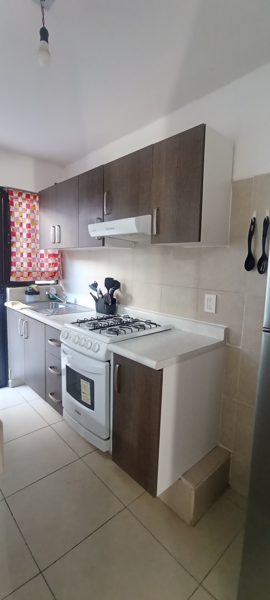 Casa en renta en Los Lagos, Villa de Pozos — foto 3 de 11
