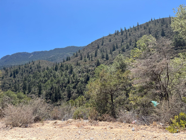 Terreno en venta en La Purísima, Arteaga — foto 2 de 14