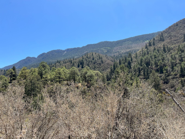 Terreno en venta en La Purísima, Arteaga — foto 3 de 14