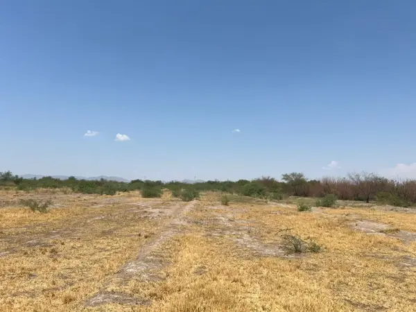 Terreno en venta en La Rosita, Torreón — foto 3 de 6