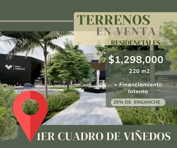 Terreno en Los Viñedos, Torreón, Coahuila de Zaragoza