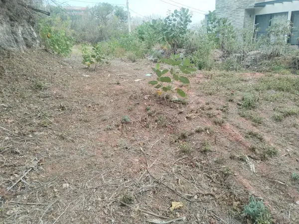 Terreno en venta en Rancho San Diego, Ixtapan de la Sal — foto 2 de 11