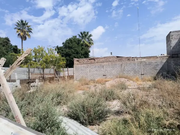 Terreno en renta en Torreon Centro, Torreón — foto 3 de 8