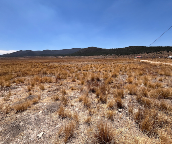 Terreno en venta en Campestre San Antonio, Arteaga — foto 3 de 4