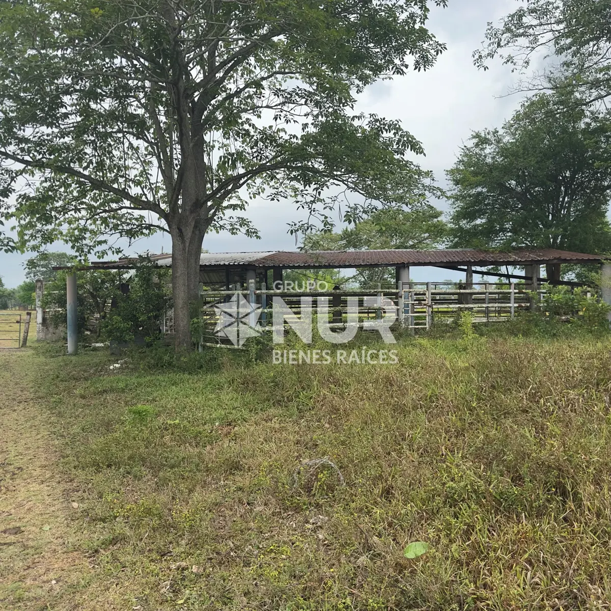 Finca-Rancho en venta en Playas del Rosario (Subteniente García), Centro — foto 1 de 26