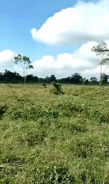 Terreno en venta en Santa Maria Periferico, Cárdenas — foto 3 de 9