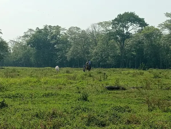 Terreno en venta en Santa Maria Periferico, Cárdenas — foto 2 de 9