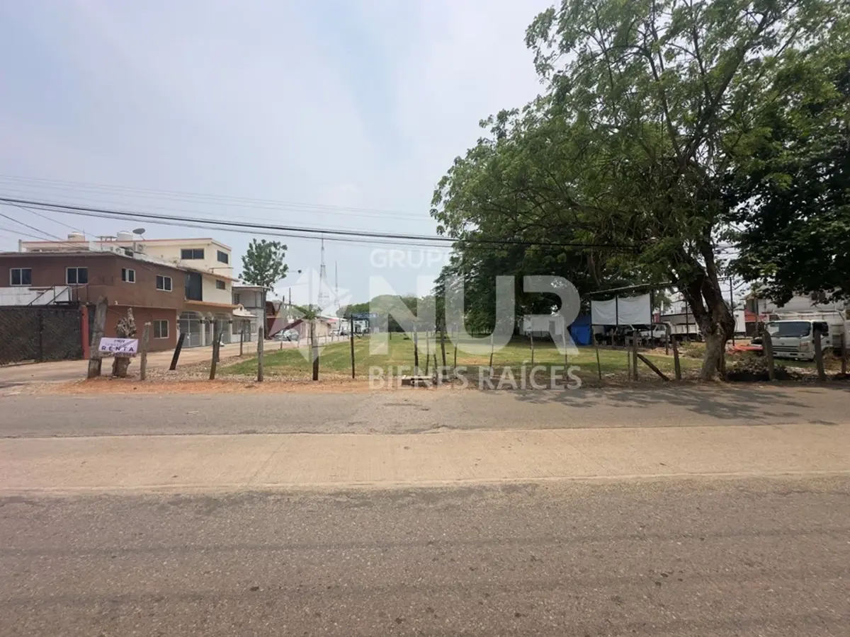 Terreno en renta en Sabina, Centro — foto 1 de 5