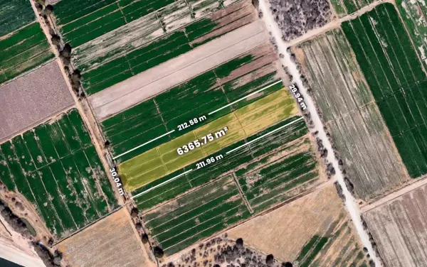 Terreno en La Rosita, Torreón, Coahuila de Zaragoza