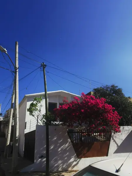 Casa en venta en Reforma, Oaxaca de Juárez — foto 3 de 4