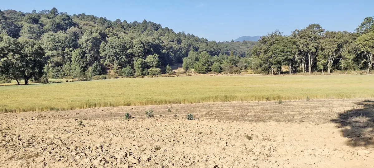 Terreno en venta en Bosencheve, Villa de Allende — foto 1 de 14