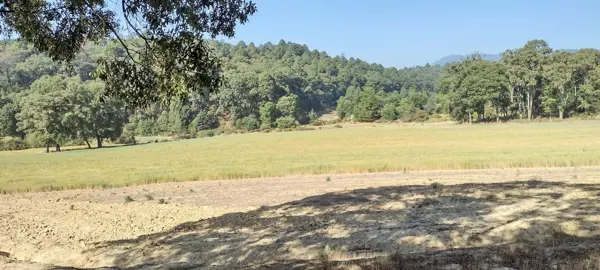Terreno en venta en Bosencheve, Villa de Allende — foto 3 de 14