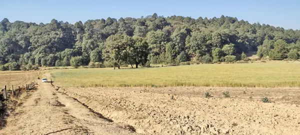 Terreno en venta en Bosencheve, Villa de Allende — foto 2 de 14