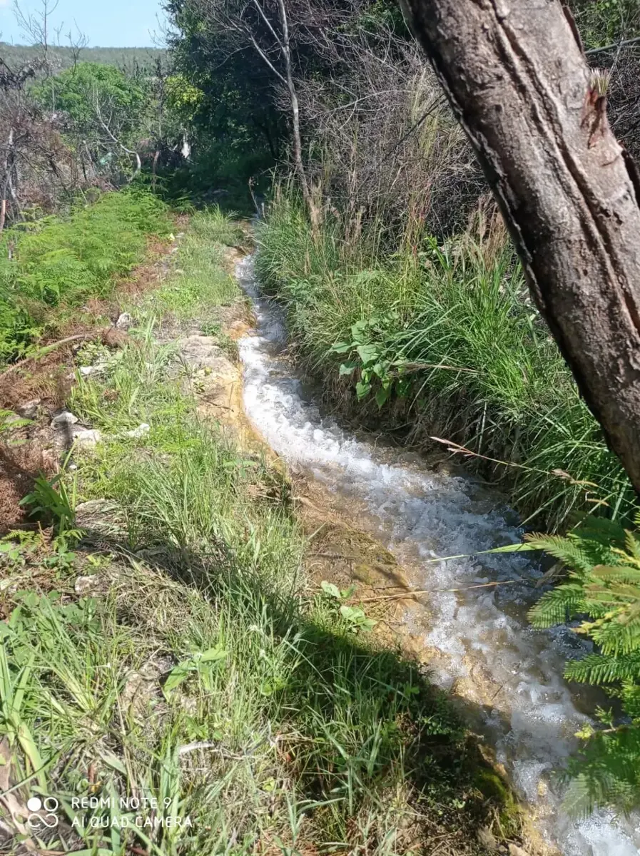 Terreno en venta en Francisco Villa, Tzimol — foto 1 de 2