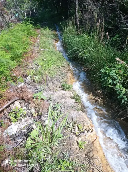 Terreno en venta en Francisco Villa, Tzimol — foto 2 de 2