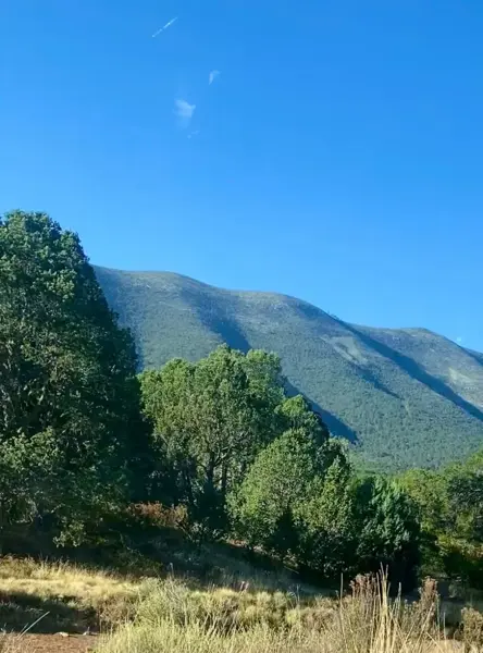 Terreno en venta en Huachichil (El Huache), Arteaga — foto 3 de 4
