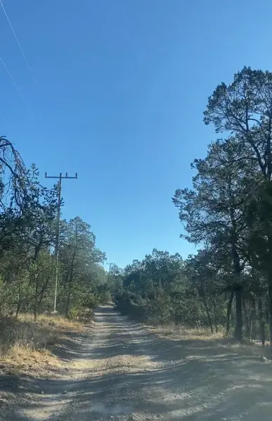 Terreno en venta en Huachichil (El Huache), Arteaga — foto 2 de 4