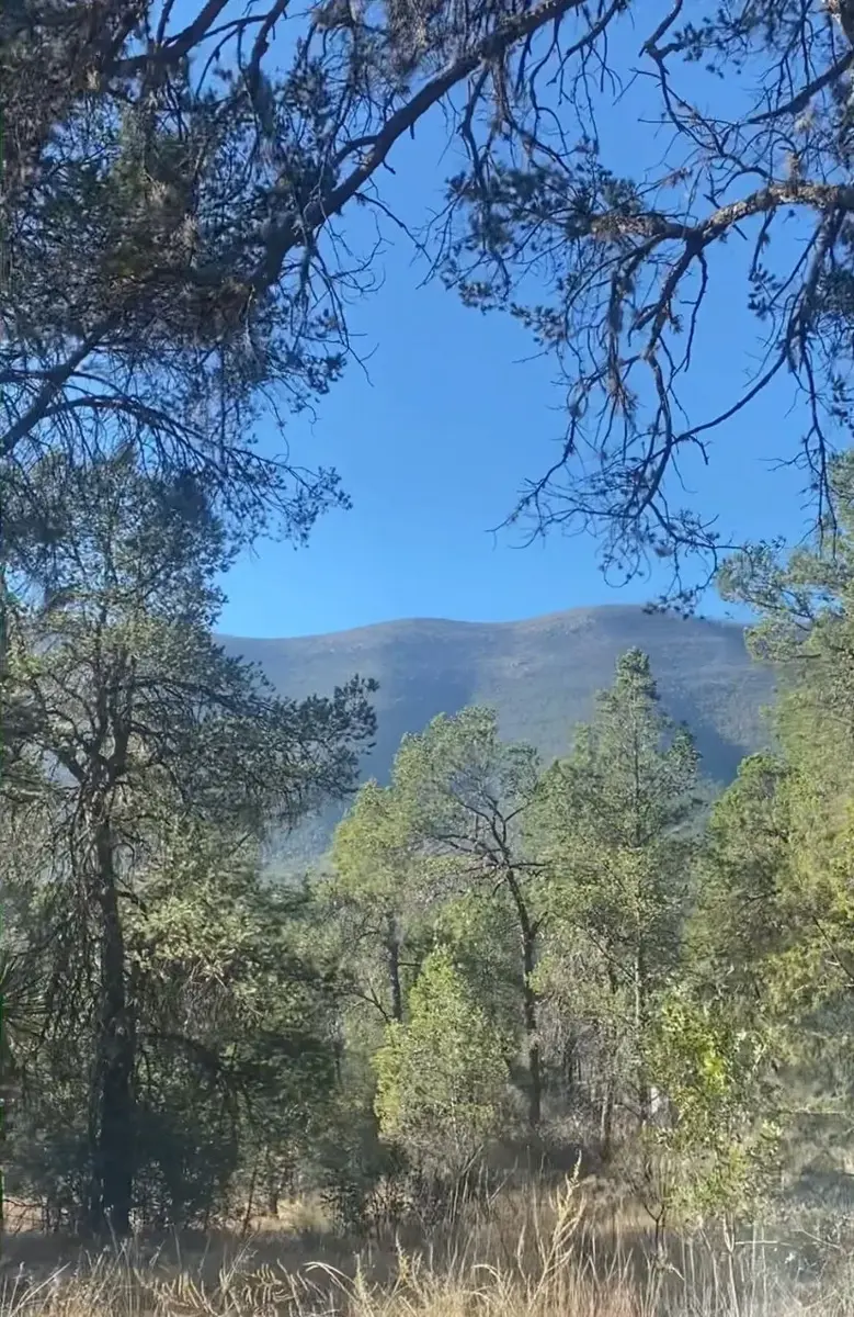 Terreno en venta en Huachichil (El Huache), Arteaga — foto 1 de 4