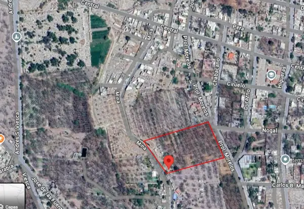 Terreno en venta en El Vergel, Parras — foto 3 de 7