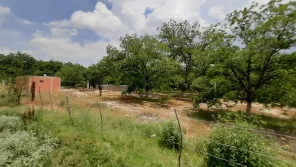 Terreno en venta en El Vergel, Parras — foto 2 de 7