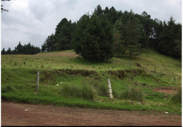 Venta de Terreno Residencial en Guadalupe Victoria, La Marquesa