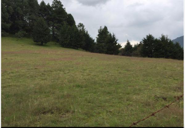 Terreno en venta en Guadalupe Victoria, Capulhuac — foto 2 de 11