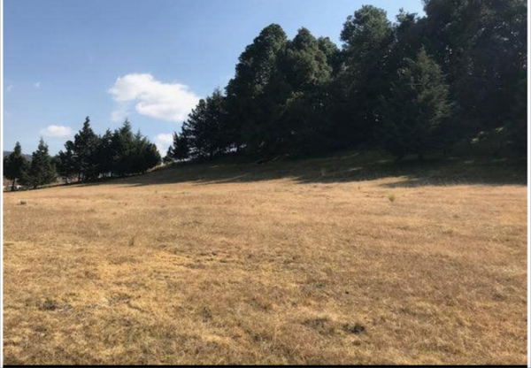Terreno en venta en Guadalupe Victoria, Capulhuac — foto 3 de 11