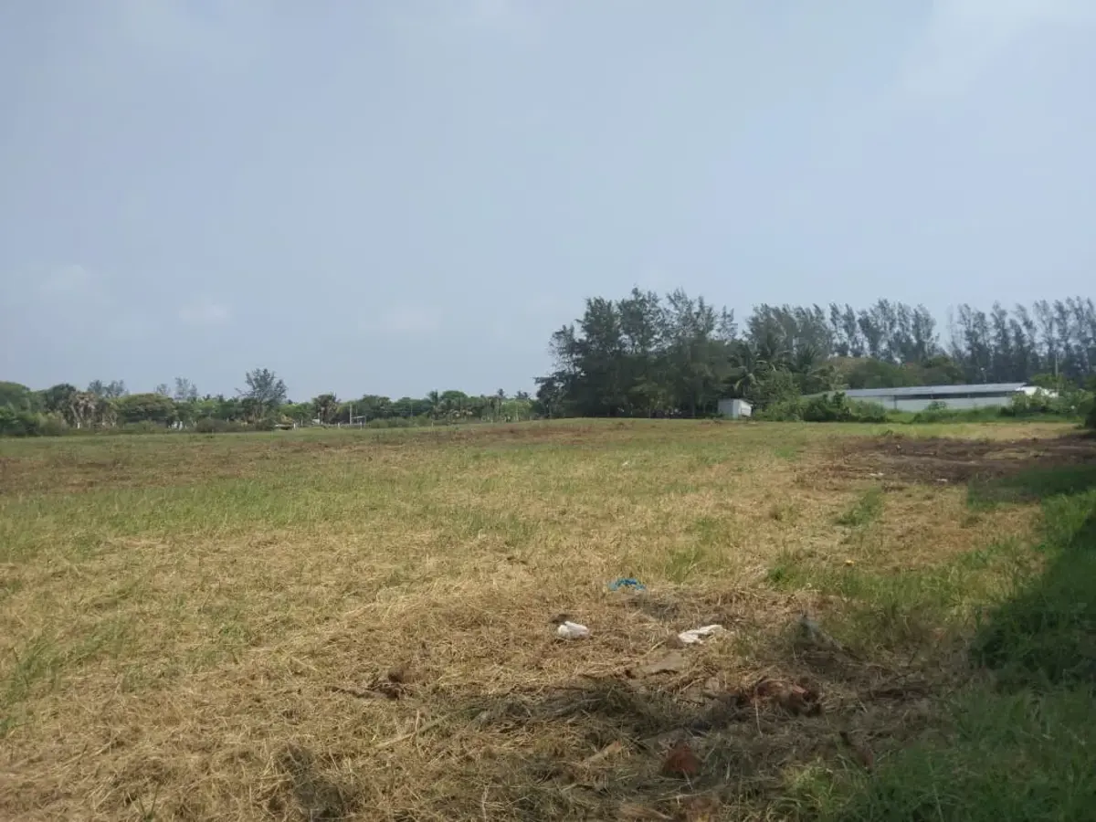 Terreno en venta en Mata de Uva, Alvarado — foto 1 de 2