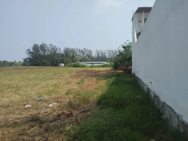 Terreno en venta en Mata de Uva, Alvarado — foto 2 de 2