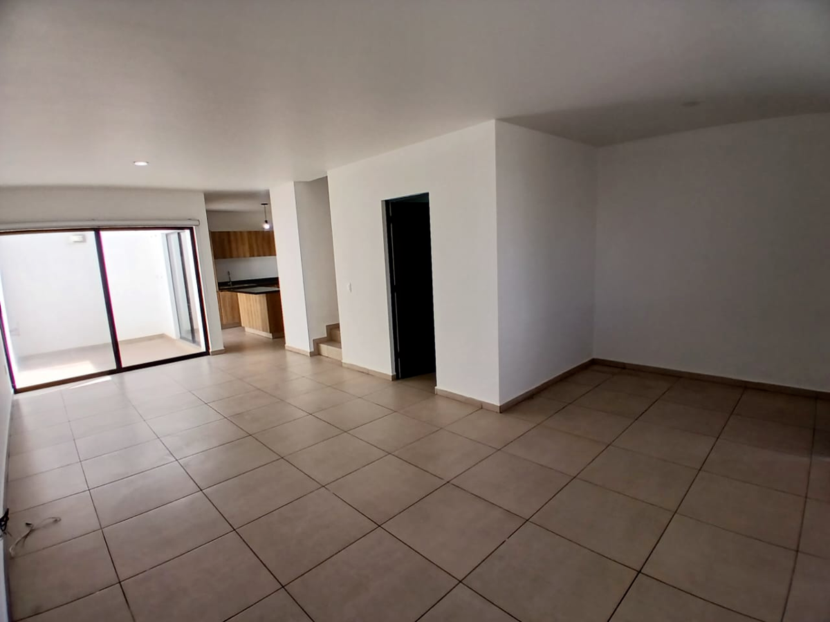 picture-2