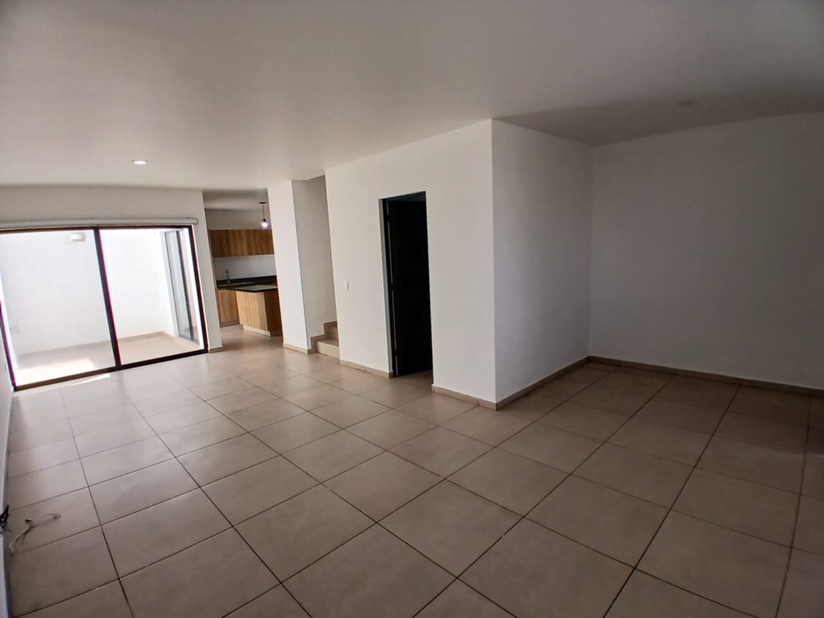 picture-3
