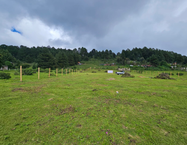 Terreno en venta en Mesa Rica (La Finca), Valle de Bravo — foto 3 de 5