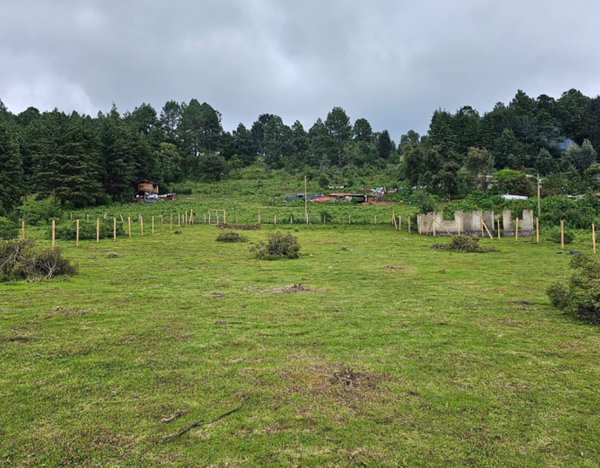 Terreno en venta en Mesa Rica (La Finca), Valle de Bravo — foto 2 de 5