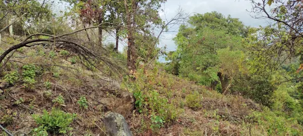 Terreno en venta en Valle de Bravo, Valle de Bravo — foto 2 de 11